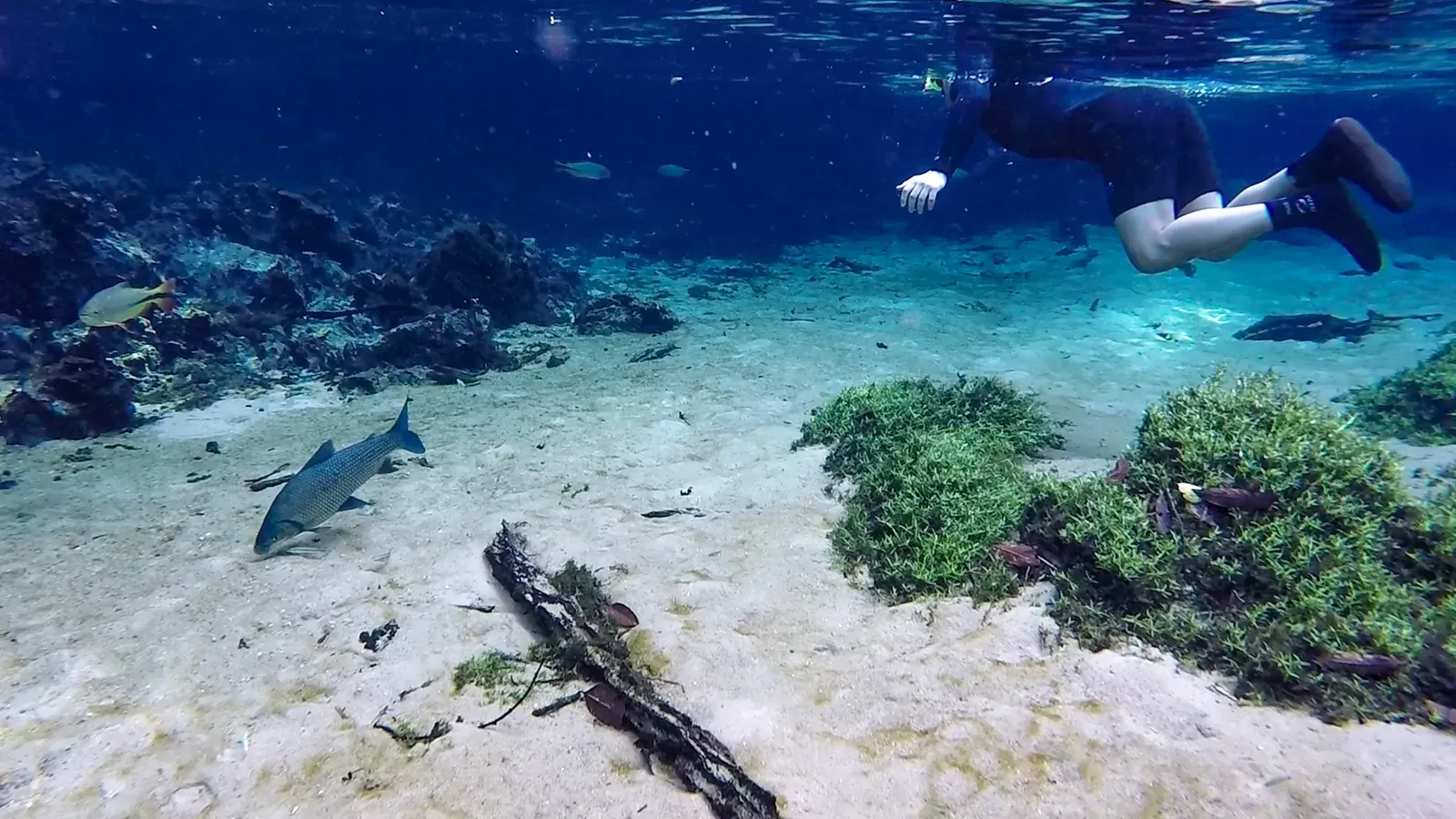 Snorkelling at Rio da Prata