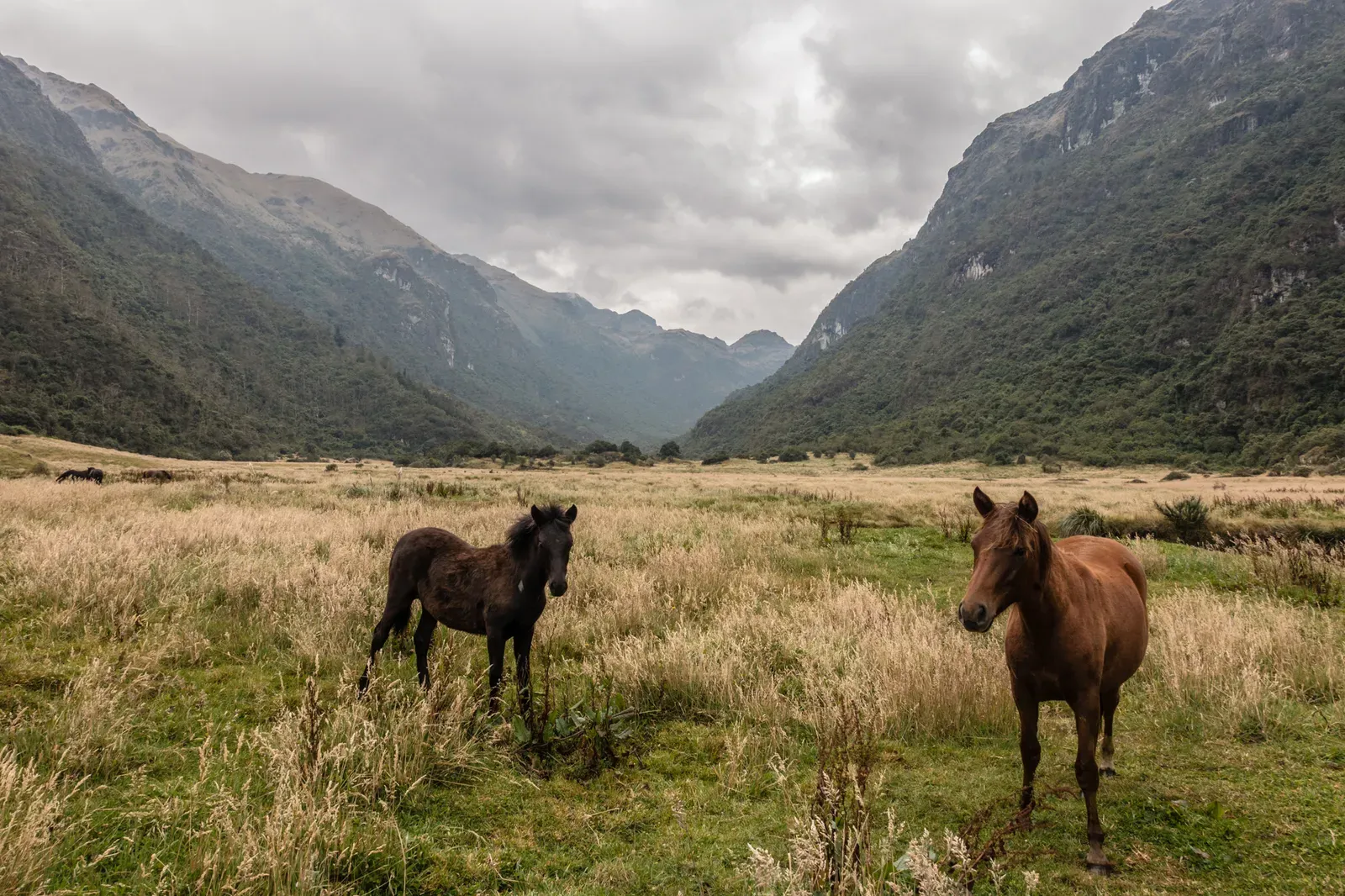 Cajas National Park