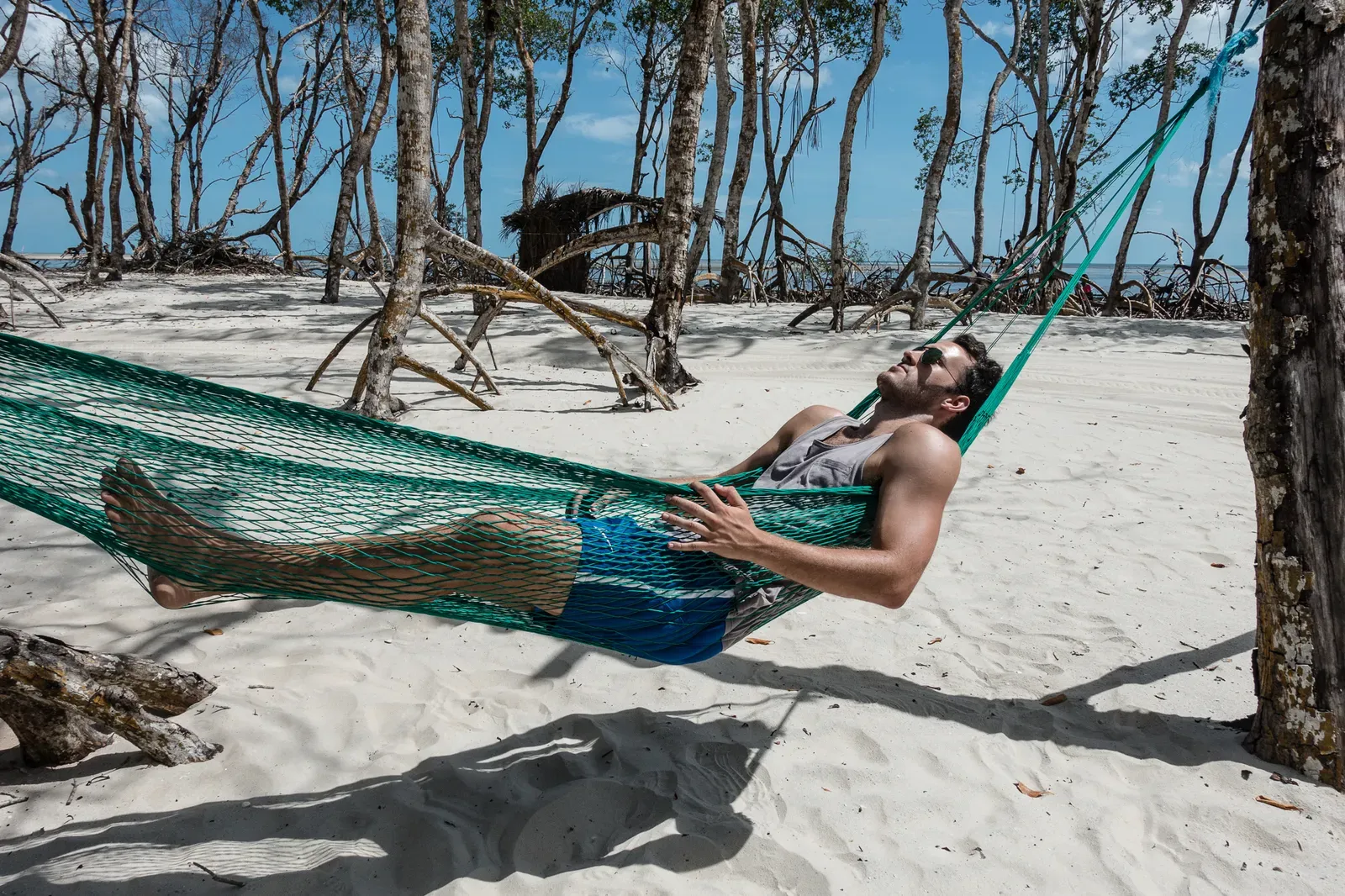 Another hammock...