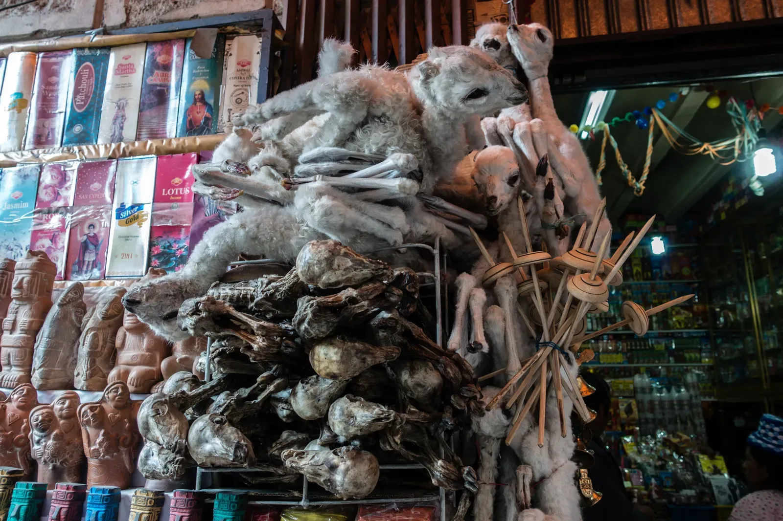 Dead Lllamas at the Witches Market