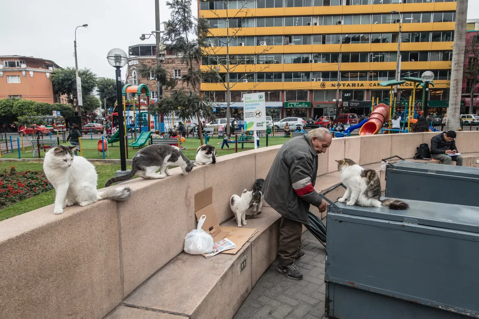 The cat park in Miraflores