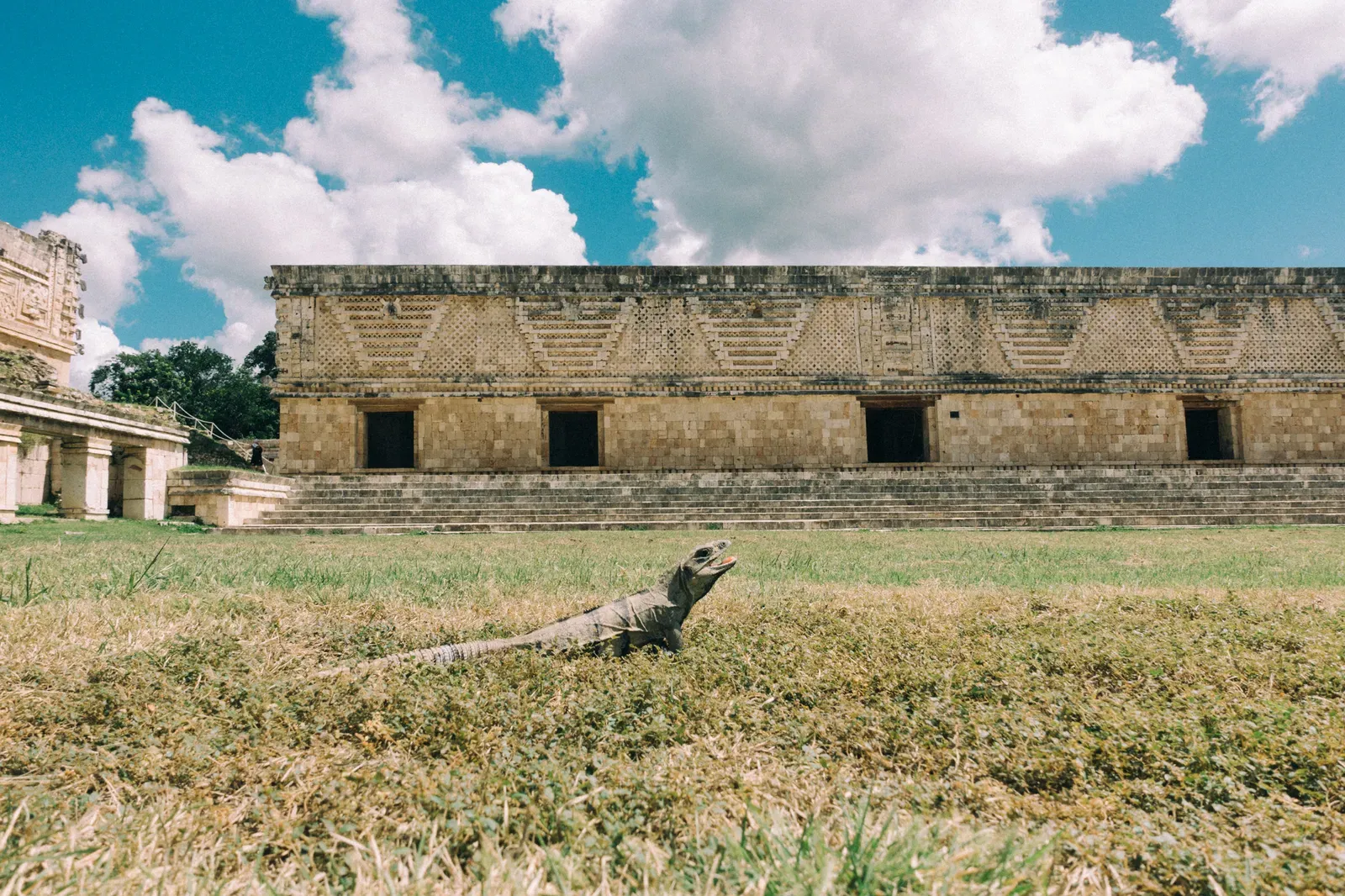 Uxmal