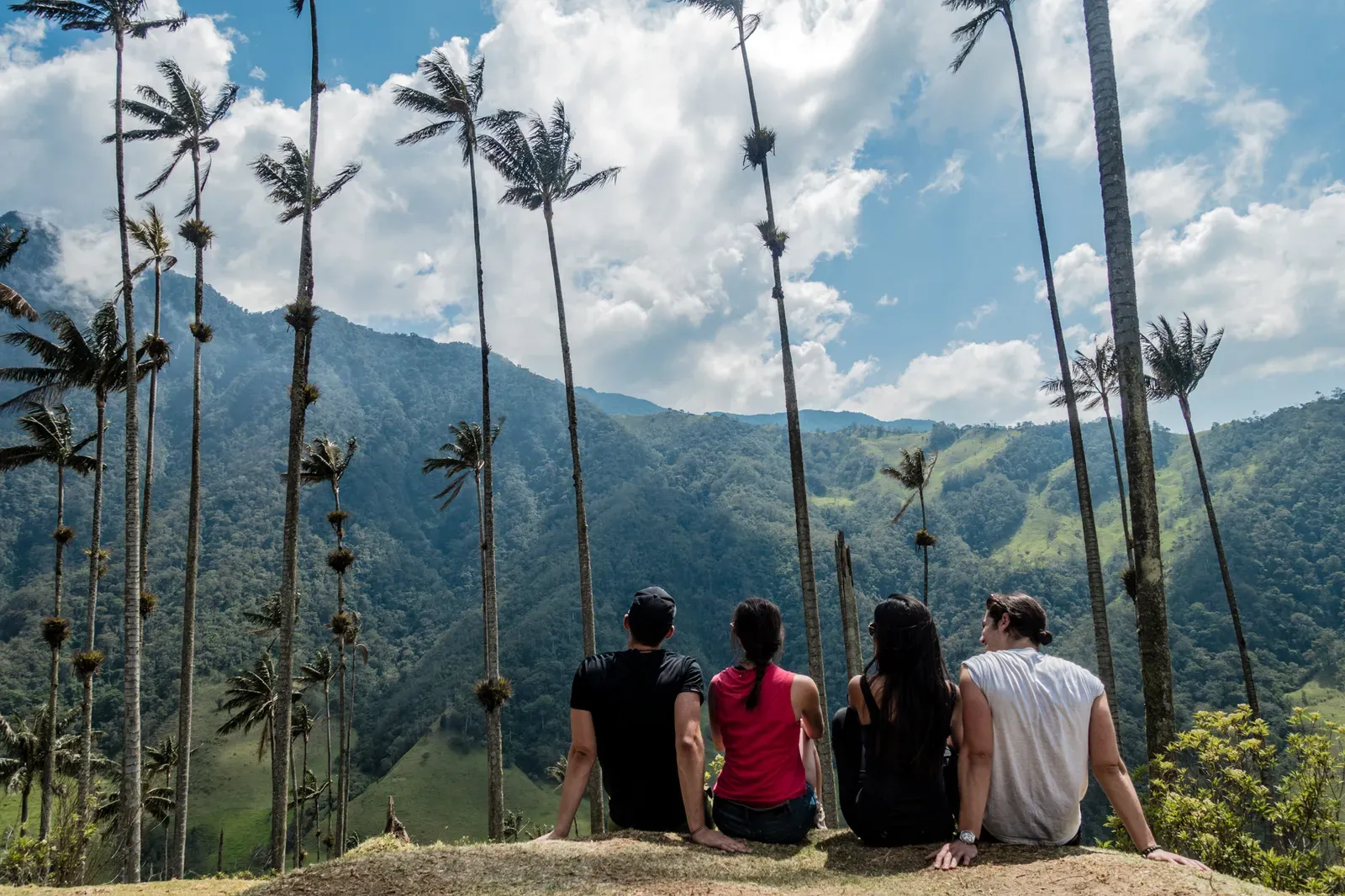 Valle de Cocora with Marsy, Maria and Jake