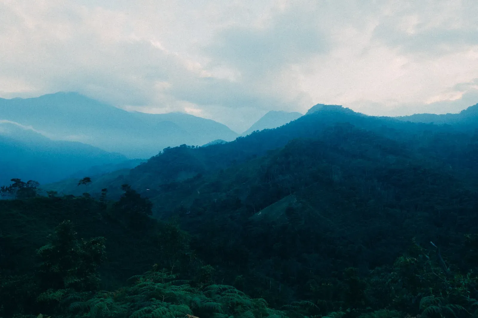 Along the way to Ciudad Perdida