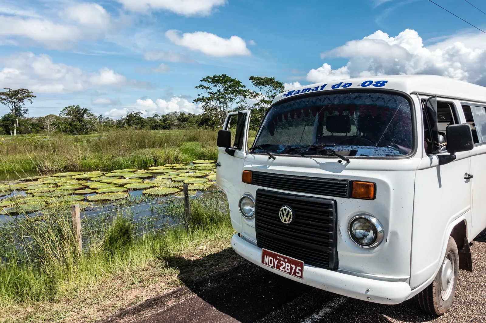 Stopping off to see the water lilies
