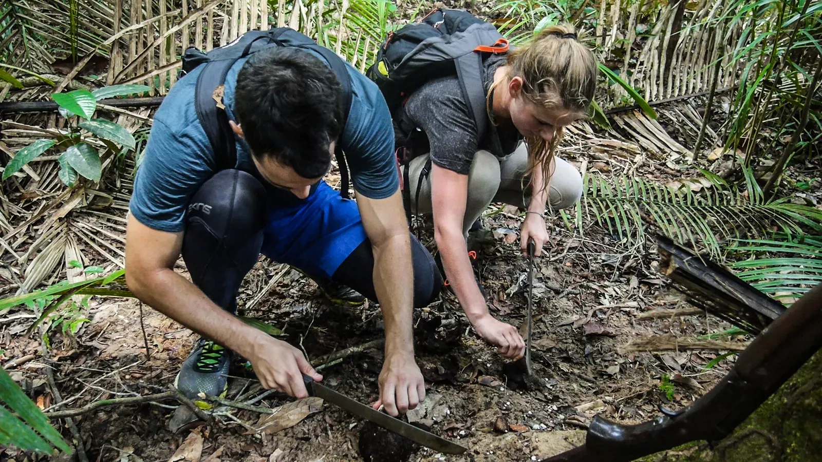 Searching for Brazil Nuts