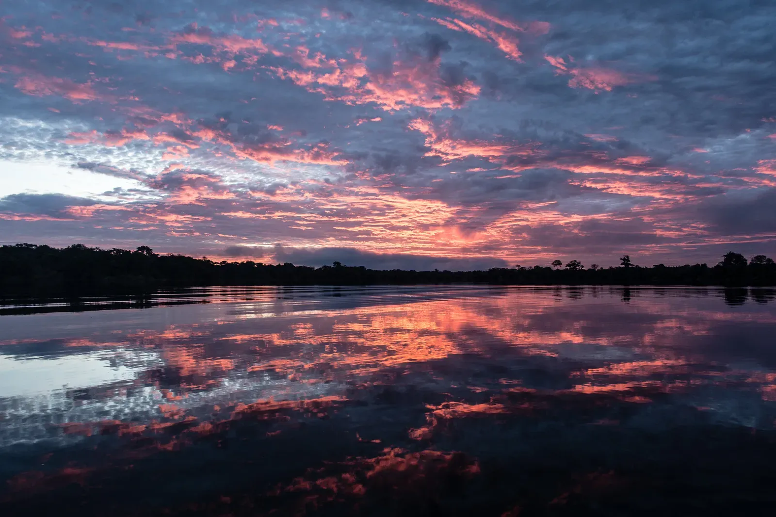 Last sunrise in the jungle