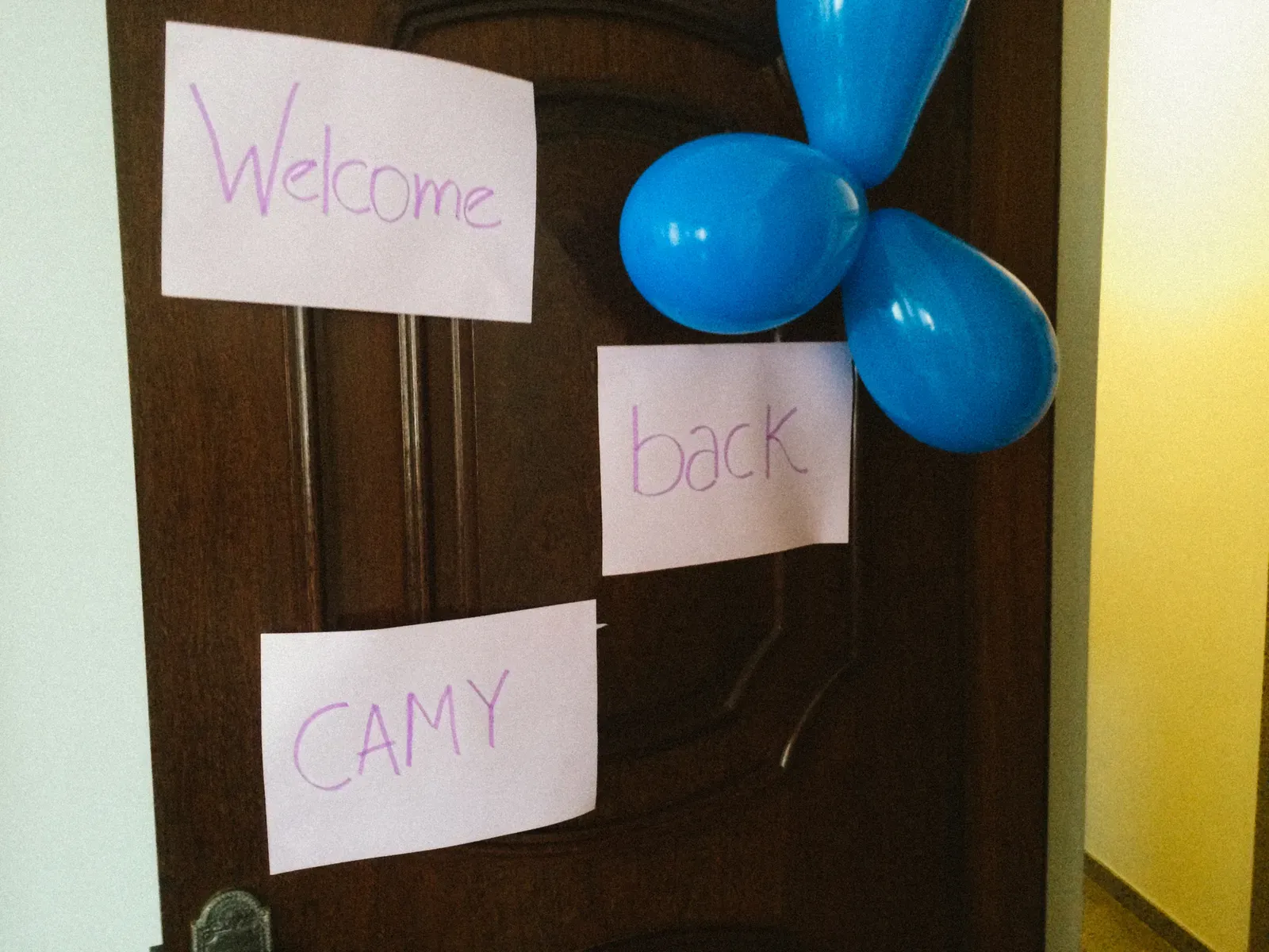 The welcome home party!