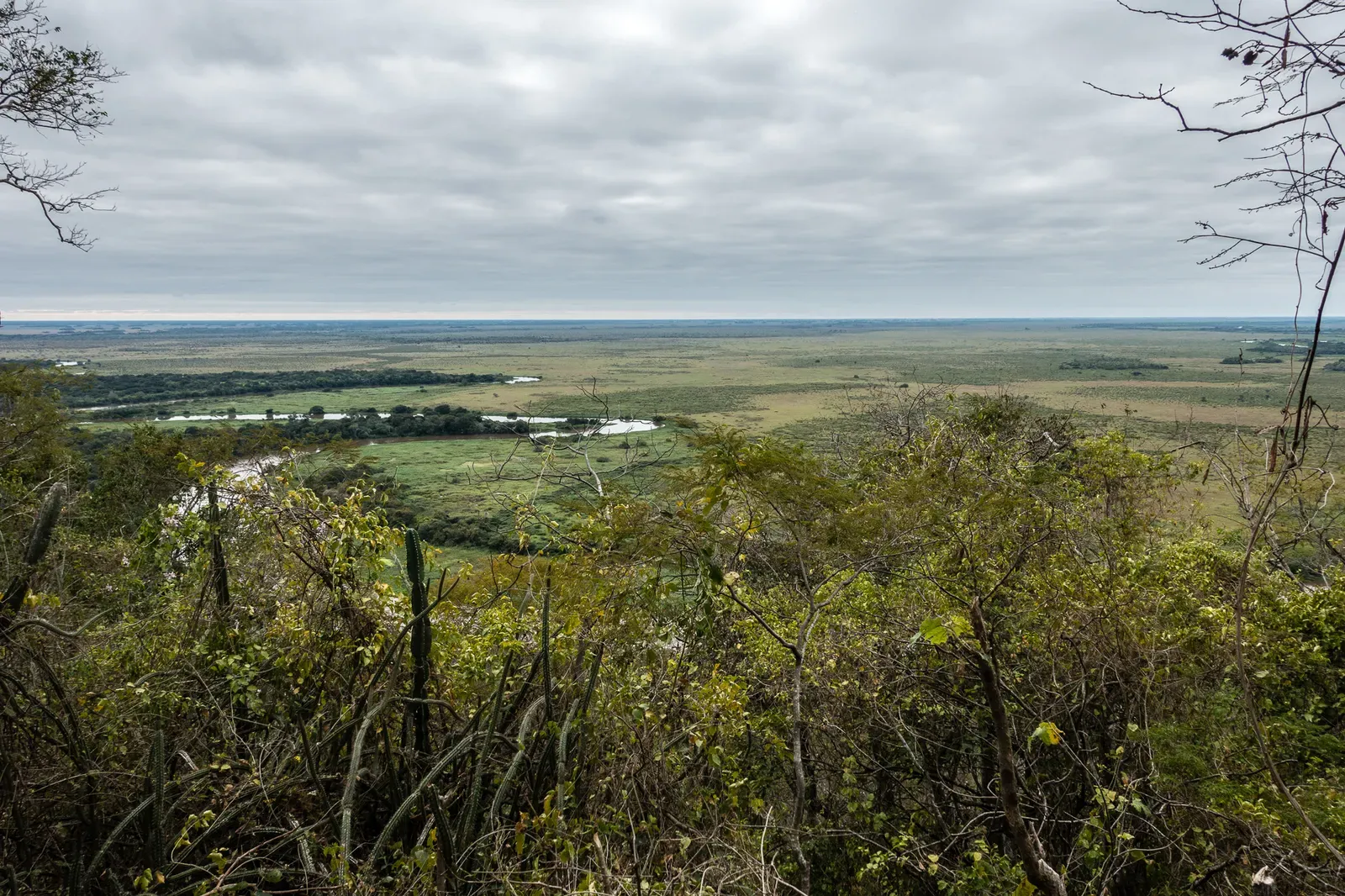Looking out over the Pantanal